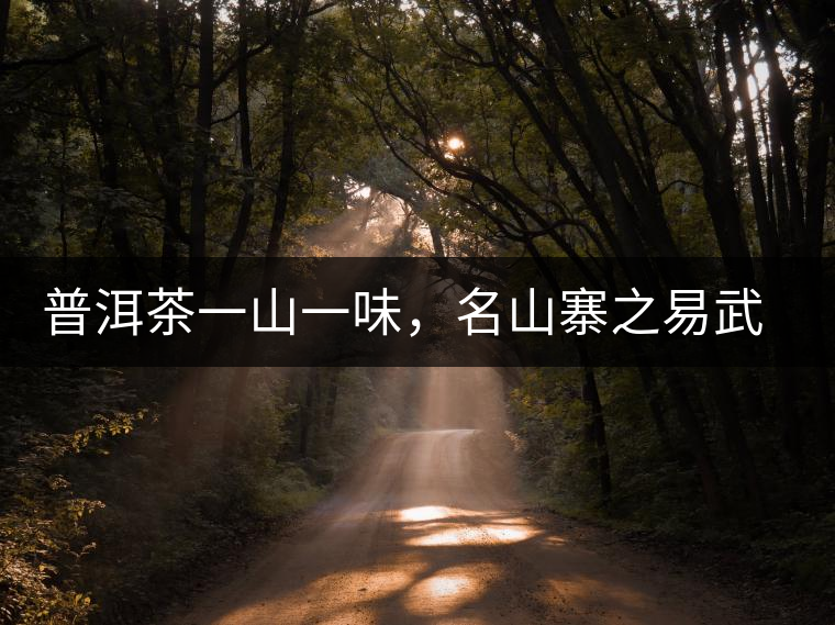 普洱茶一山一味，名山寨之易武彎弓瑤族丁家寨