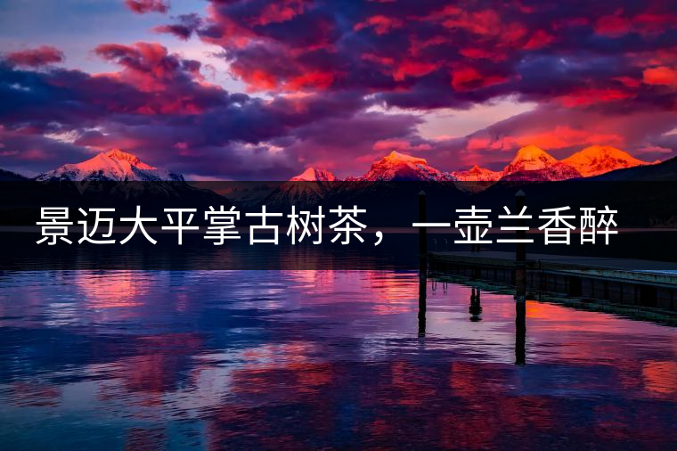 景邁大平掌古樹茶，一壺蘭香醉春秋