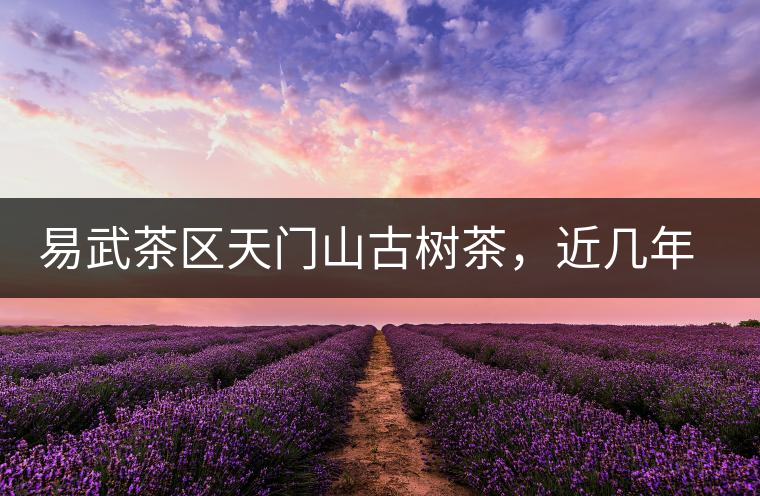 易武茶區(qū)天門山古樹茶，近幾年的熱門山頭