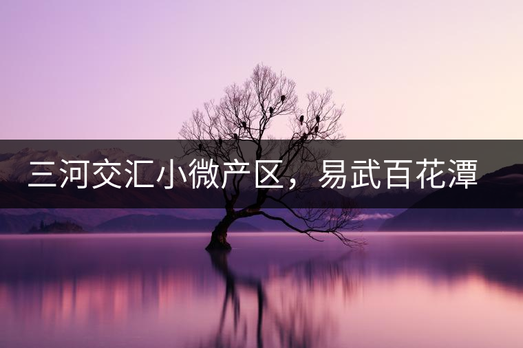 三河交匯小微產區(qū)，易武百花潭古茶園介紹