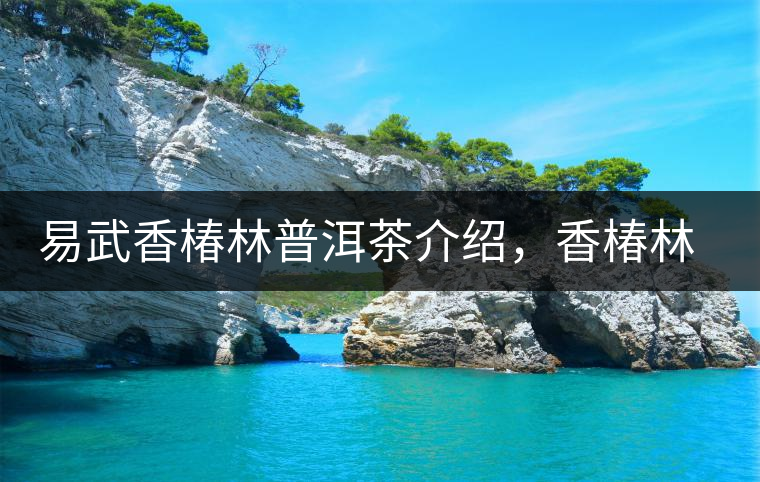 易武香椿林普洱茶介紹，香椿林古樹茶口感特點(diǎn)