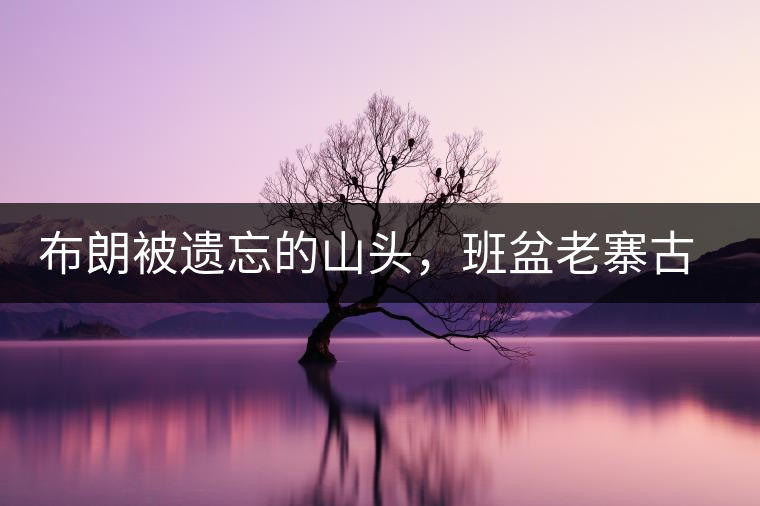 布朗被遺忘的山頭，班盆老寨古茶園介紹