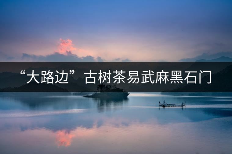 “大路邊”古樹茶易武麻黑石門坎你應(yīng)該了解的山頭 “大路邊”古樹茶易武麻黑石門坎你應(yīng)該了解的山頭