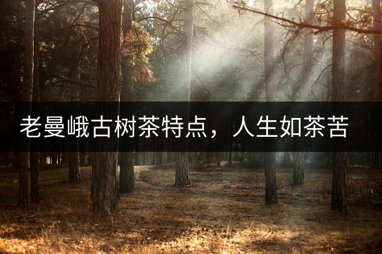老曼峨古樹茶特點，人生如茶苦盡甘來