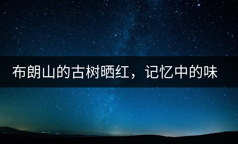 布朗山的古樹曬紅，記憶中的味道