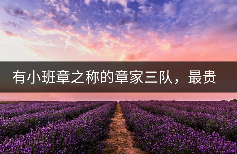 有小班章之稱的章家三隊(duì)，最貴的小樹茶