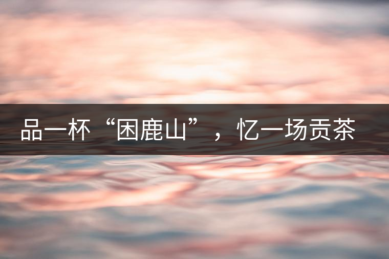 品一杯“困鹿山”，憶一場貢茶情