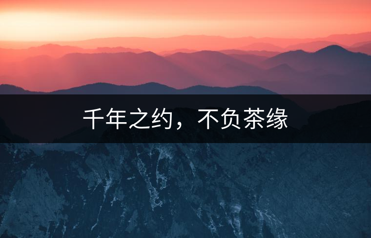 千年之約，不負(fù)茶緣