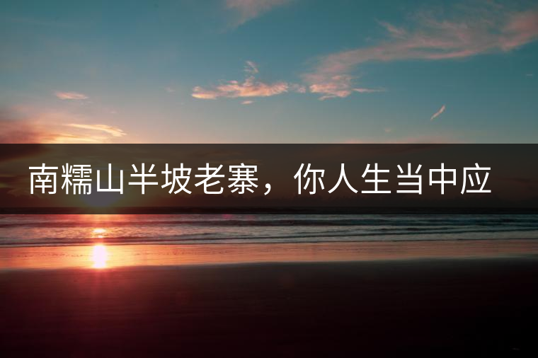 南糯山半坡老寨，你人生當(dāng)中應(yīng)該入手的第一片勐海味古樹純料普洱茶