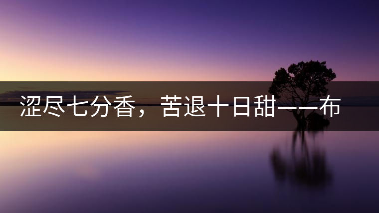 澀盡七分香，苦退十日甜——布朗山千年古寨曼新龍