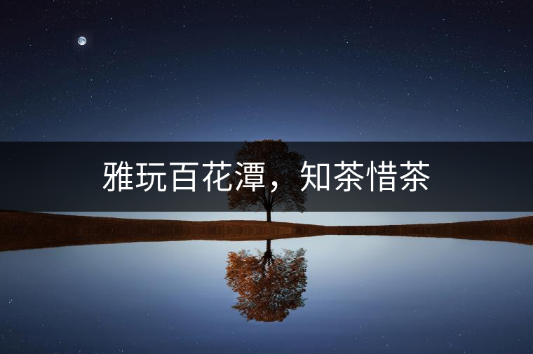 雅玩百花潭，知茶惜茶