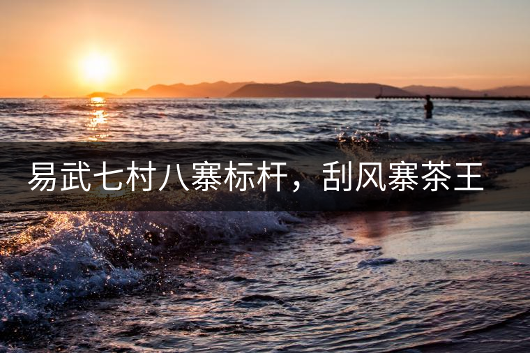 易武七村八寨標(biāo)桿，刮風(fēng)寨茶王樹介紹