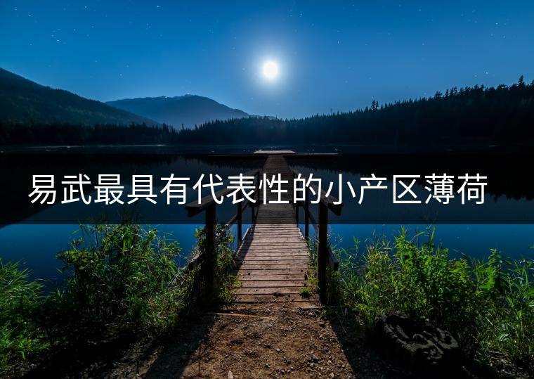 易武最具有代表性的小產區(qū)薄荷塘，一滴都不舍得浪費