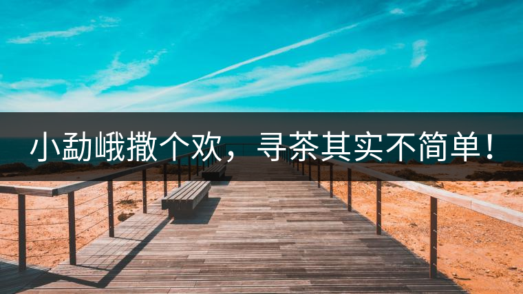 小勐峨撒個(gè)歡，尋茶其實(shí)不簡單！