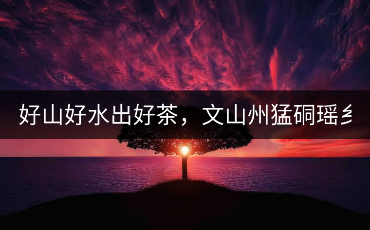好山好水出好茶，文山州猛硐瑤鄉(xiāng)茶！