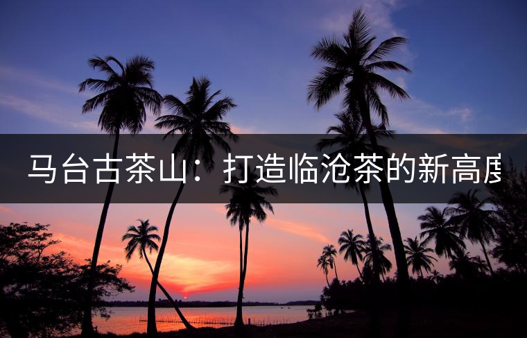 馬臺(tái)古茶山：打造臨滄茶的新高度？