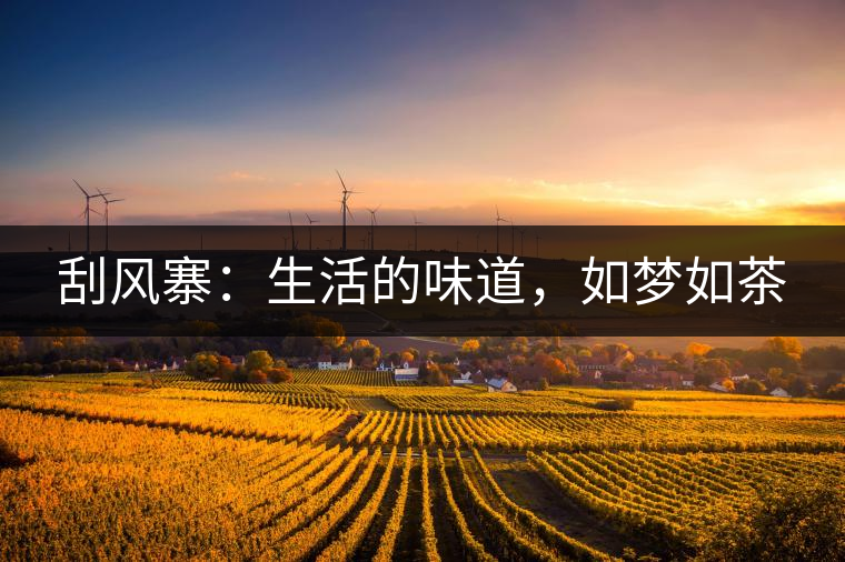 刮風寨：生活的味道，如夢如茶