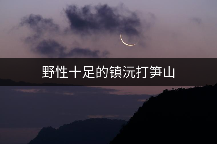 野性十足的鎮(zhèn)沅打筍山 野性十足的鎮(zhèn)沅打筍山