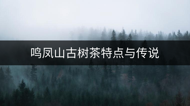 鳴鳳山古樹茶特點(diǎn)與傳說 鳴鳳山古樹茶特點(diǎn)與傳說