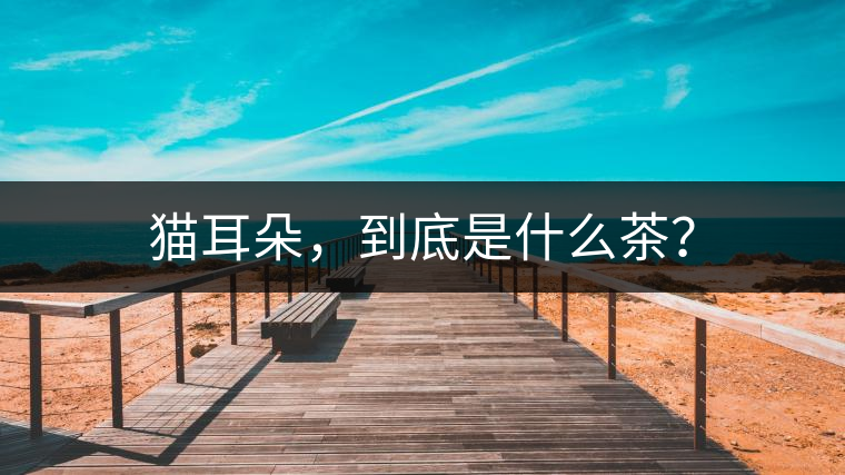 貓耳朵，到底是什么茶？