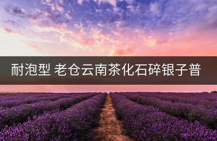 耐泡型 老倉云南茶化石碎銀子普洱熟茶糯米香茶老茶頭散茶葉250g