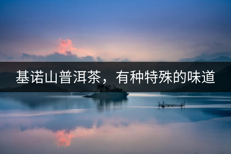 基諾山普洱茶，有種特殊的味道