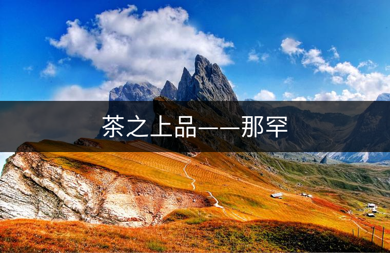 茶之上品——那罕 茶之上品——那罕