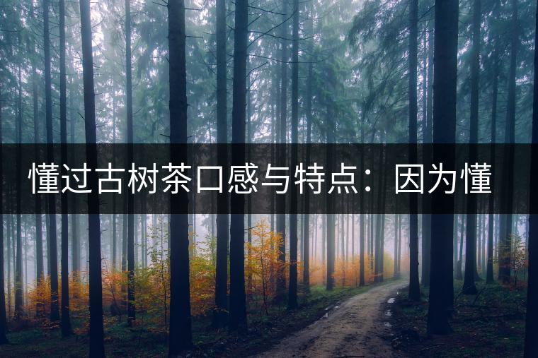 懂過古樹茶口感與特點：因為懂得，所以舍得用余生來珍惜！