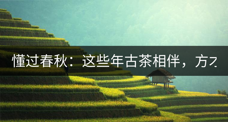 懂過春秋：這些年古茶相伴，方才懂過！