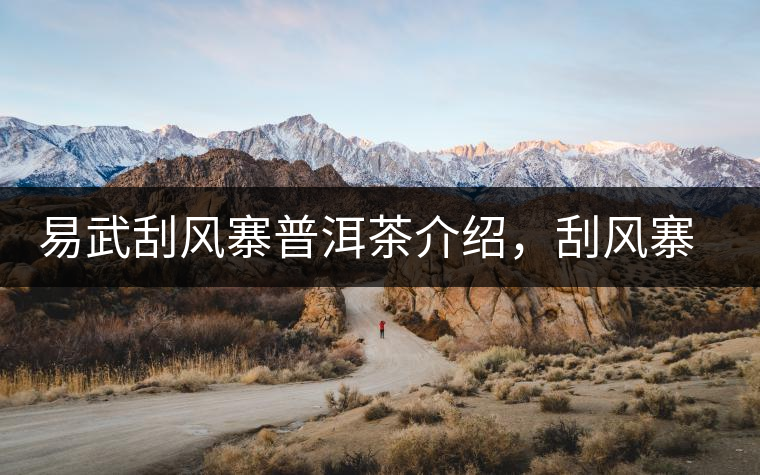 易武刮風(fēng)寨普洱茶介紹，刮風(fēng)寨古樹茶口感特點(diǎn)