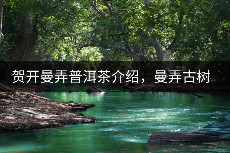 賀開(kāi)曼弄普洱茶介紹，曼弄古樹(shù)茶口感特點(diǎn)