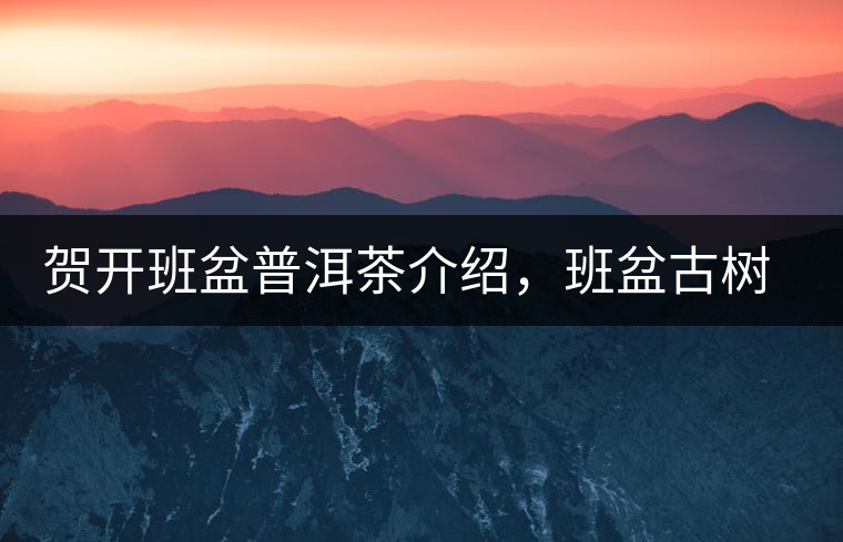 賀開班盆普洱茶介紹，班盆古樹茶口感特點(diǎn)