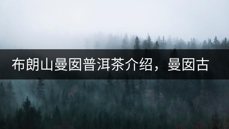 布朗山曼囡普洱茶介紹，曼囡古樹茶口感特點