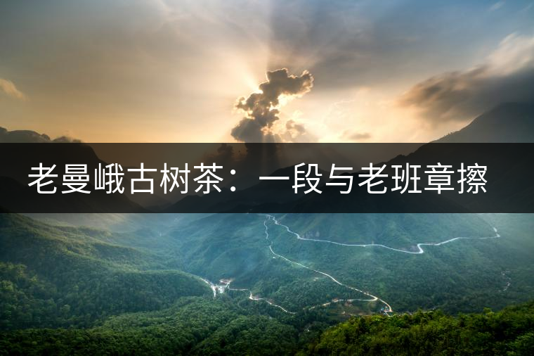 老曼峨古樹(shù)茶：一段與老班章擦肩而過(guò)的緣分