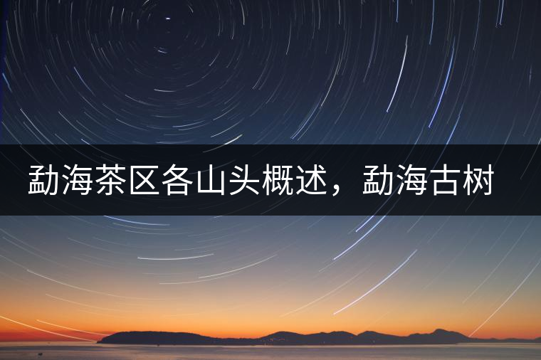 勐海茶區(qū)各山頭概述，勐海古樹茶口感特點