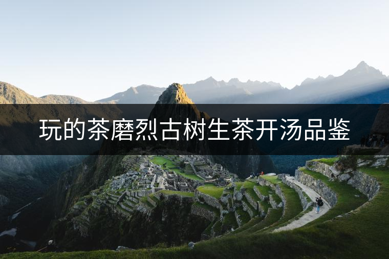 玩的茶磨烈古樹生茶開(kāi)湯品鑒 玩的茶磨烈古樹生茶開(kāi)湯品鑒