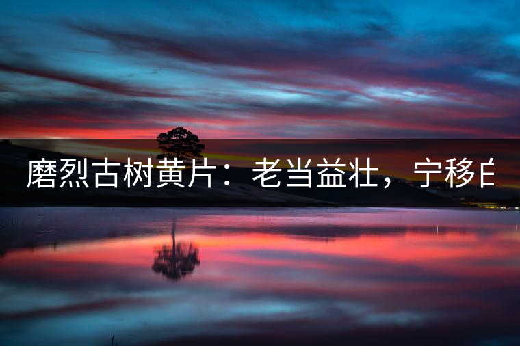 磨烈古樹黃片：老當(dāng)益壯，寧移白首之心！