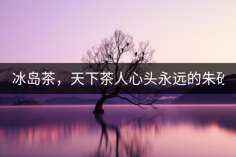 冰島茶，天下茶人心頭永遠(yuǎn)的朱砂痣！