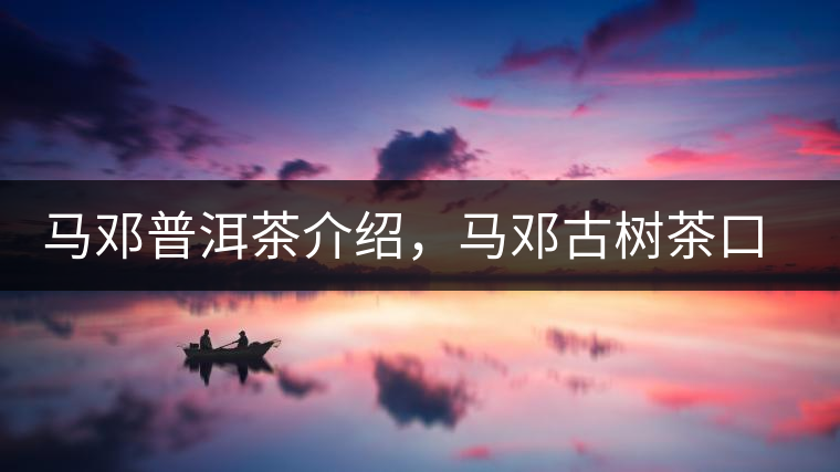 馬鄧普洱茶介紹，馬鄧古樹茶口感特點