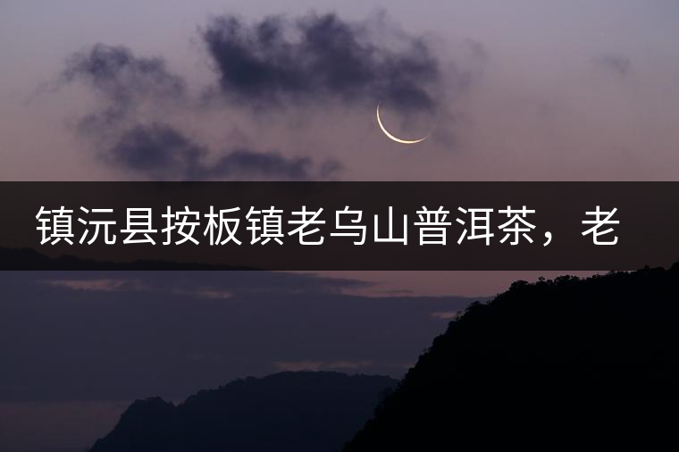 鎮(zhèn)沅縣按板鎮(zhèn)老烏山普洱茶，老烏山古樹(shù)茶口感特點(diǎn)