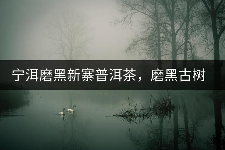 寧洱磨黑新寨普洱茶，磨黑古樹茶口感特點(diǎn)