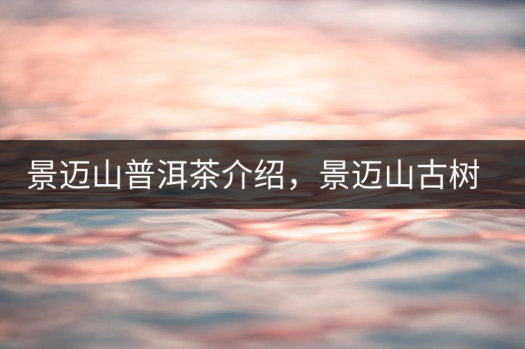 景邁山普洱茶介紹，景邁山古樹茶口感特點