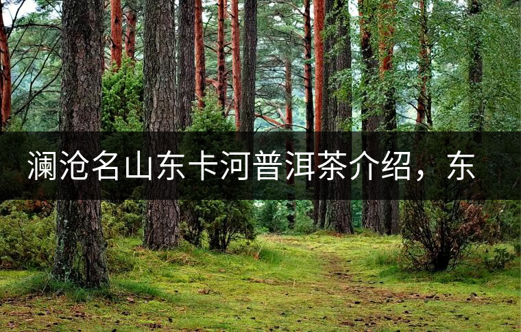 瀾滄名山東卡河普洱茶介紹，東卡河古樹茶口感特點