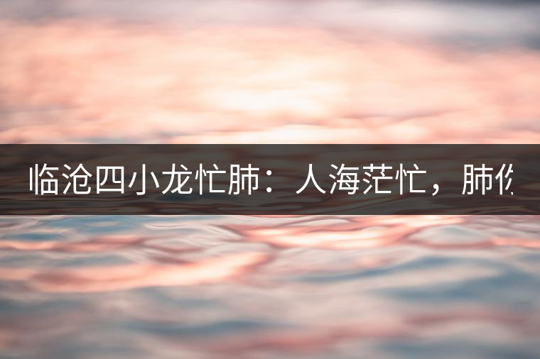 臨滄四小龍忙肺：人海茫忙，肺你莫屬！