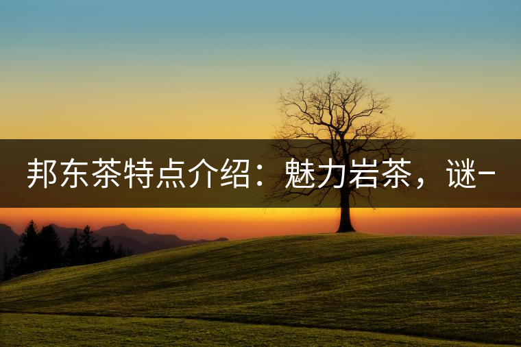 邦東茶特點(diǎn)介紹：魅力巖茶，謎一樣的邦東！