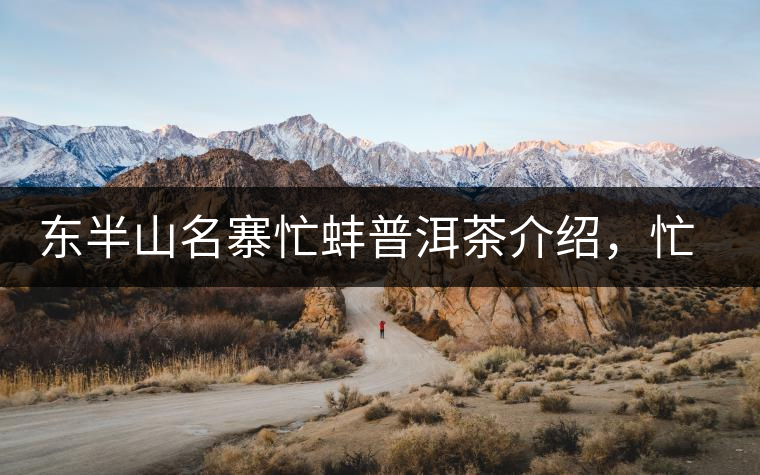 東半山名寨忙蚌普洱茶介紹，忙蚌古樹茶口感特點(diǎn)