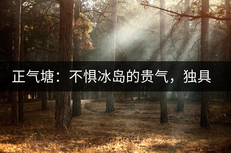 正氣塘：不懼冰島的貴氣，獨具冰島之魅力