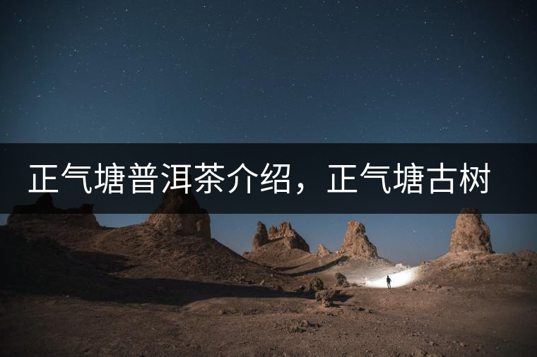 正氣塘普洱茶介紹，正氣塘古樹茶口感特點