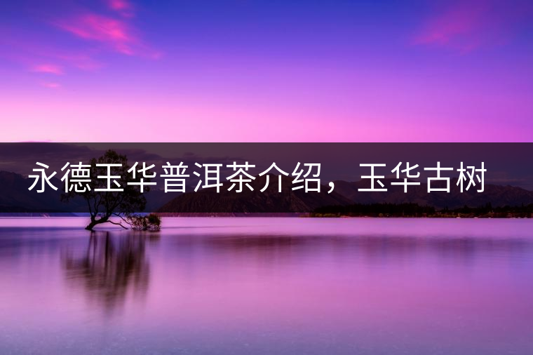 永德玉華普洱茶介紹，玉華古樹茶口感特點(diǎn)