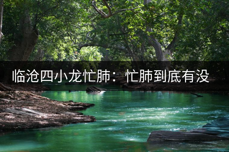 臨滄四小龍忙肺：忙肺到底有沒有古樹？